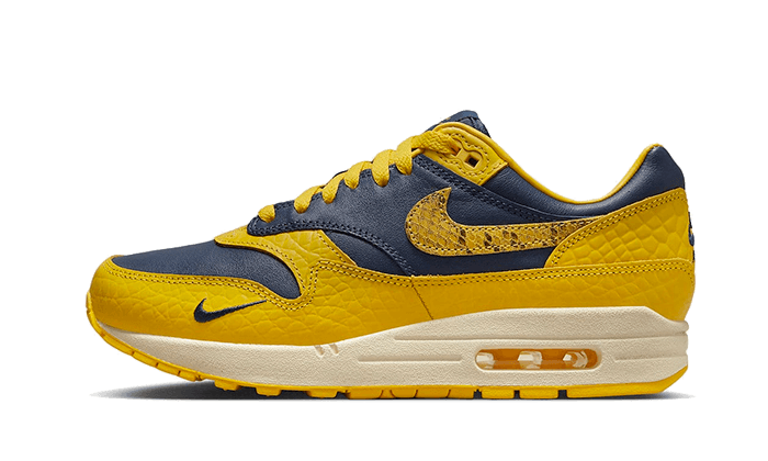 Air Max 1 CO.JP Michigan All You Need, photo 1