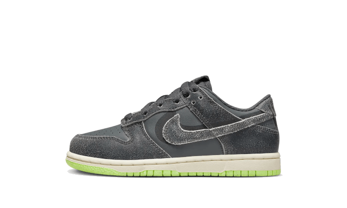 Dunk Low Swoosh Shadow Iron Grey Enfant (PS) All You Need, photo 1