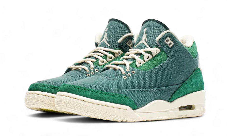 Air Jordan 3 Retro SP Nina Chanel Abney Bicoastal All You Need, photo 2