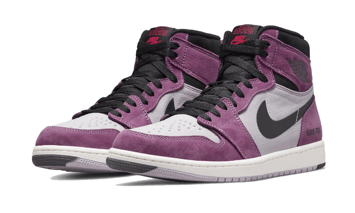 Air Jordan 1 High Element Gore-Tex Berry All You Need, photo 2