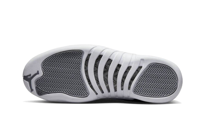 Air Jordan 12 Stealth All You Need, photo 3