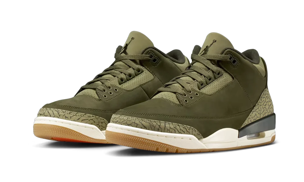 Air Jordan 3 Family Affair All You Need, photo 2