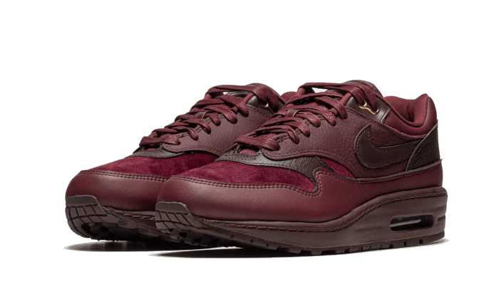Air Max 1 Burgundy Crush All You Need, photo 2