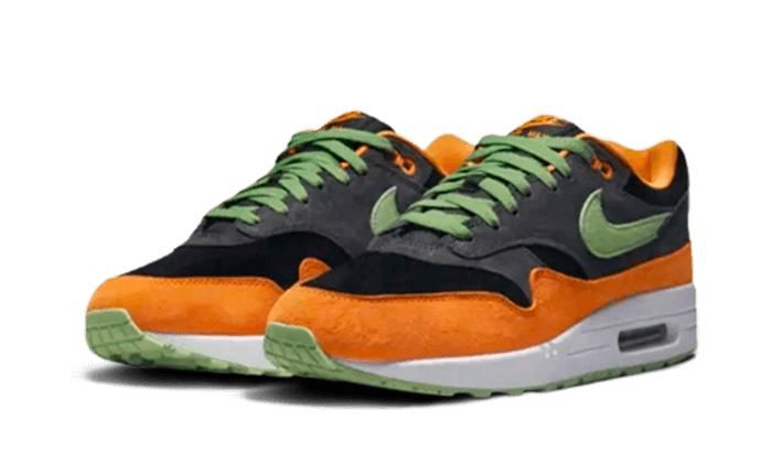 Air Max 1 PRM Duck Anthracite All You Need, photo 2