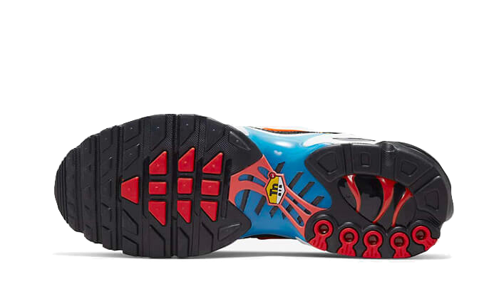 Air Max Plus Brixton All You Need, photo 3
