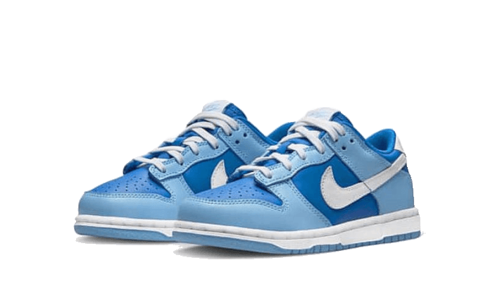 Dunk Low Argon Enfant (PS) All You Need, photo 2