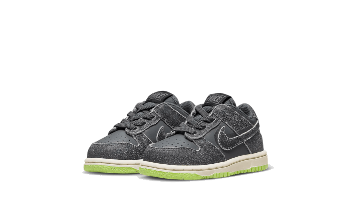 Dunk Low Swoosh Shadow Iron Grey Bébé (TD) All You Need, photo 2