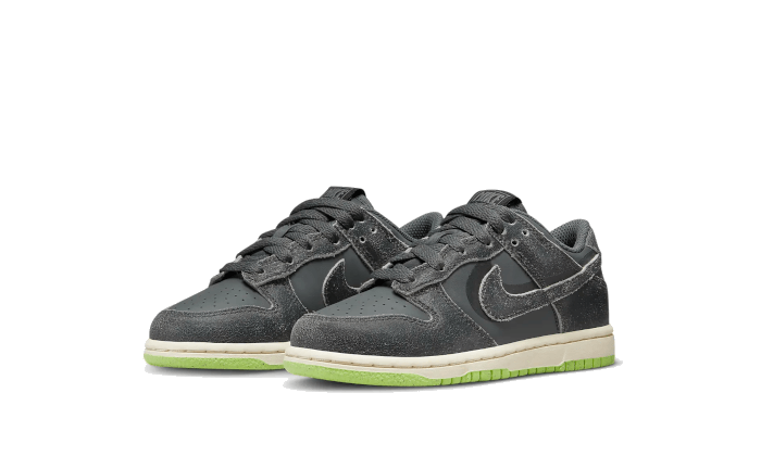Dunk Low Swoosh Shadow Iron Grey Enfant (PS) All You Need, photo 2