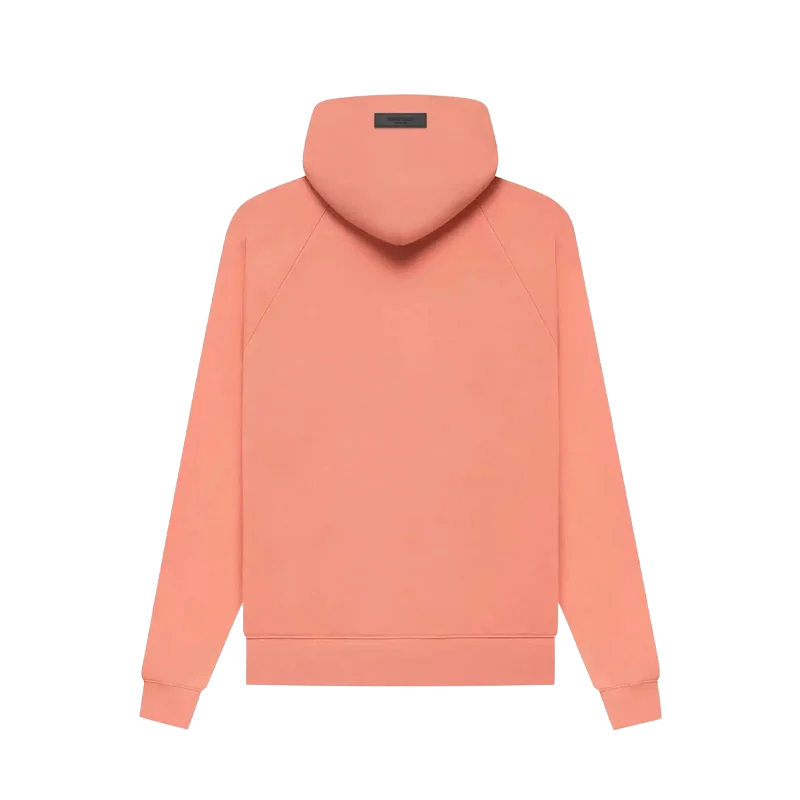 Essentials (PF22) Hoodie Coral All You Need, photo 2