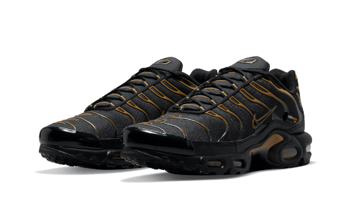 Air Max Plus Cordura Black All You Need, photo 2