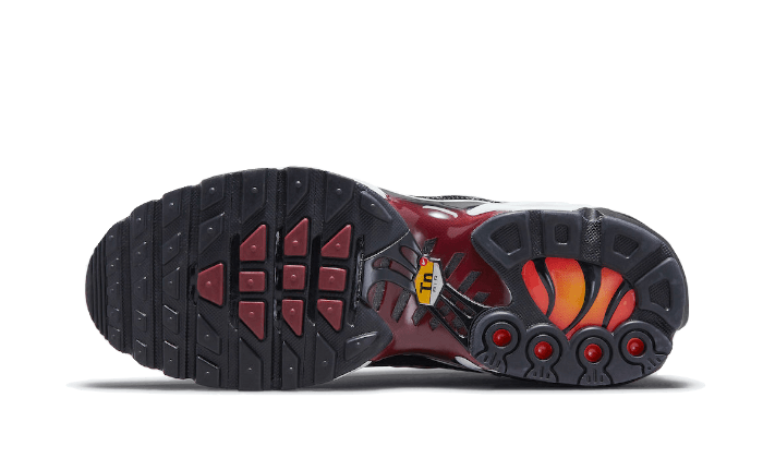 Air Max Plus Sisterhood All You Need, photo 3