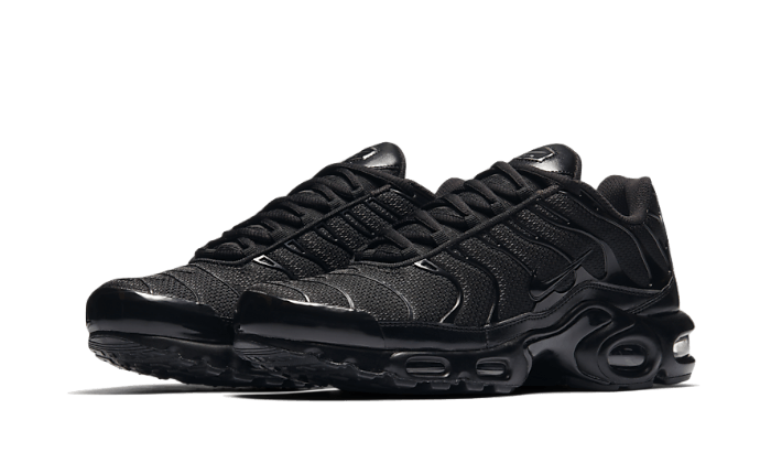 Air Max Plus Triple Black All You Need, photo 2