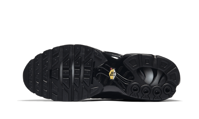 Air Max Plus Triple Black All You Need, photo 4