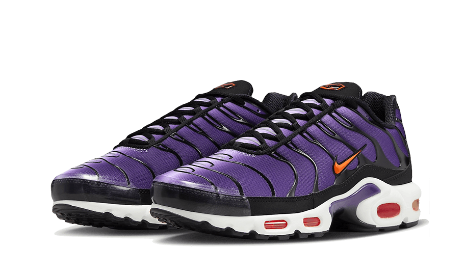 Air Max Plus Voltage Purple All You Need, photo 2
