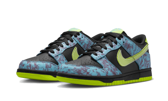 Dunk Low Acid Wash All You Need, photo 2
