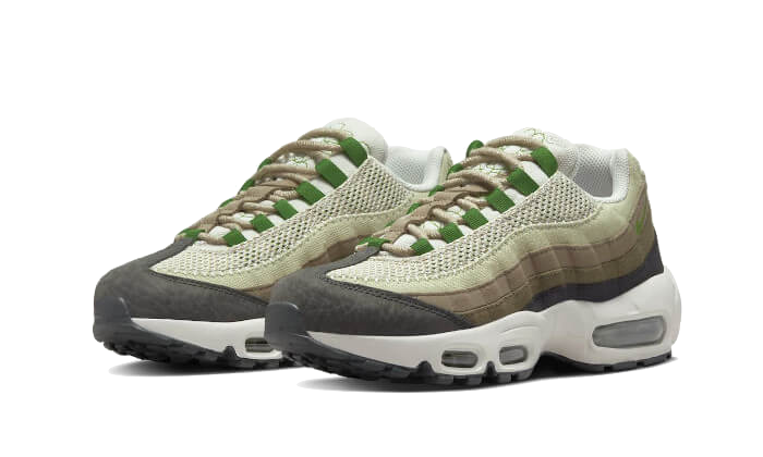 Air Max 95 Earth Day All You Need, photo 2