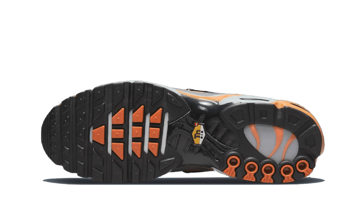 Air Max Plus Grey Orange All You Need, photo 3