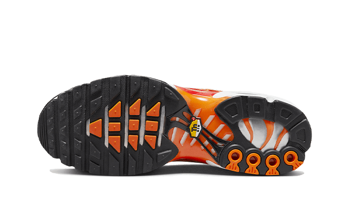 Air Max Plus Light Photography All You Need, photo 3