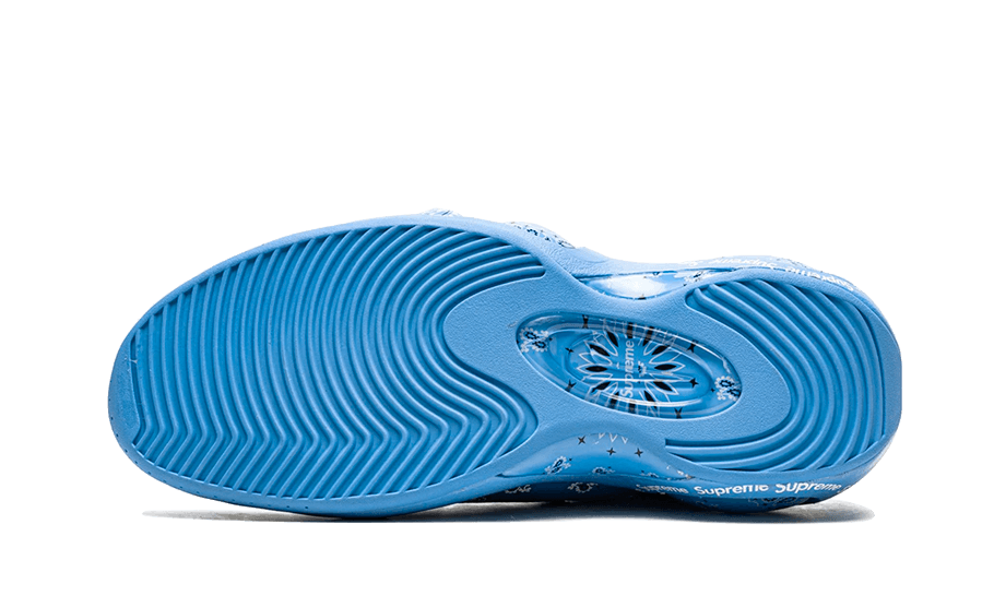 Air Zoom Flight 95 SP Supreme University Blue All You Need, photo 4
