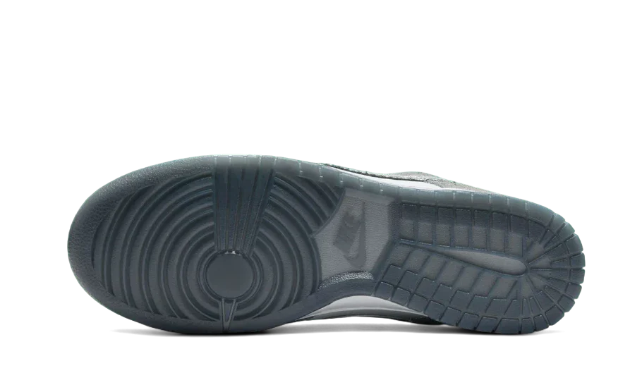 Dunk Low Retro Premium Philly All You Need, photo 3