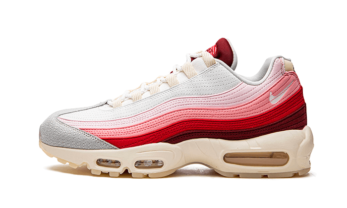 Air Max 95 Anatomy of Air All You Need, photo 1