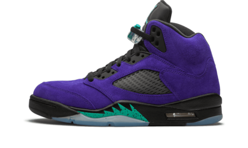 Air Jordan 5 Retro Alternate Grape All You Need, photo 1