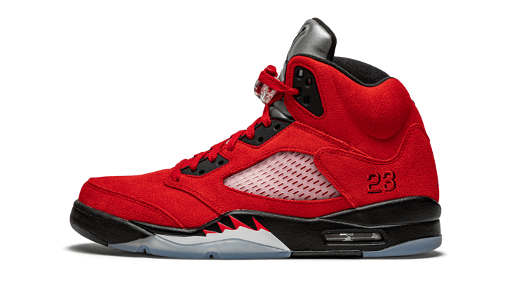 Air Jordan 5 Retro Raging Bull All You Need, photo 1