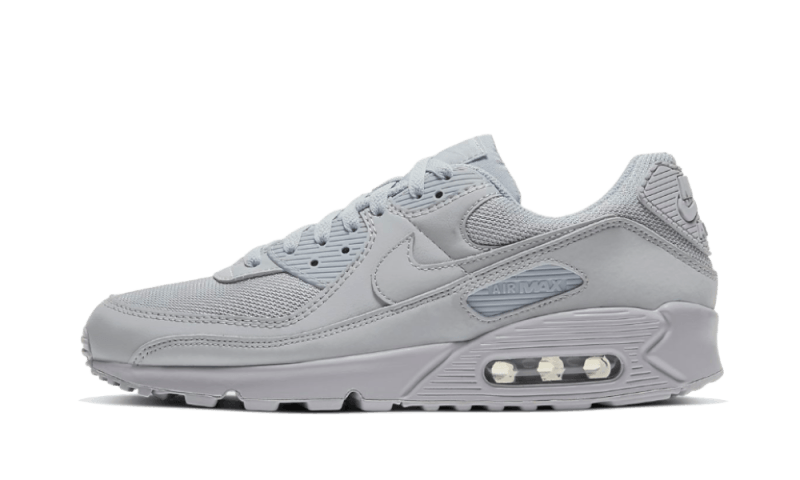 Air Max 90 Recraft Wolf Grey All You Need, photo 1