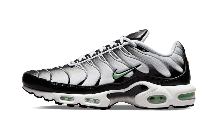 Air Max Plus Seafoam Grey Black All You Need, photo 1