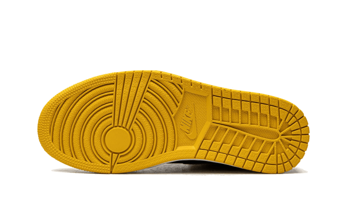Air Jordan 1 High OG Pollen All You Need, photo 4