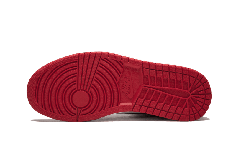 Air Jordan 1 Retro High Homage To Home All You Need, photo 5