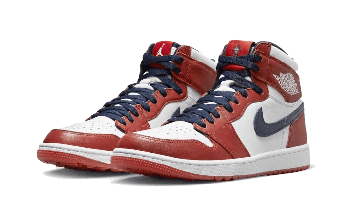 Air Jordan 1 Retro High OG Golf Out of the Mud All You Need, photo 2