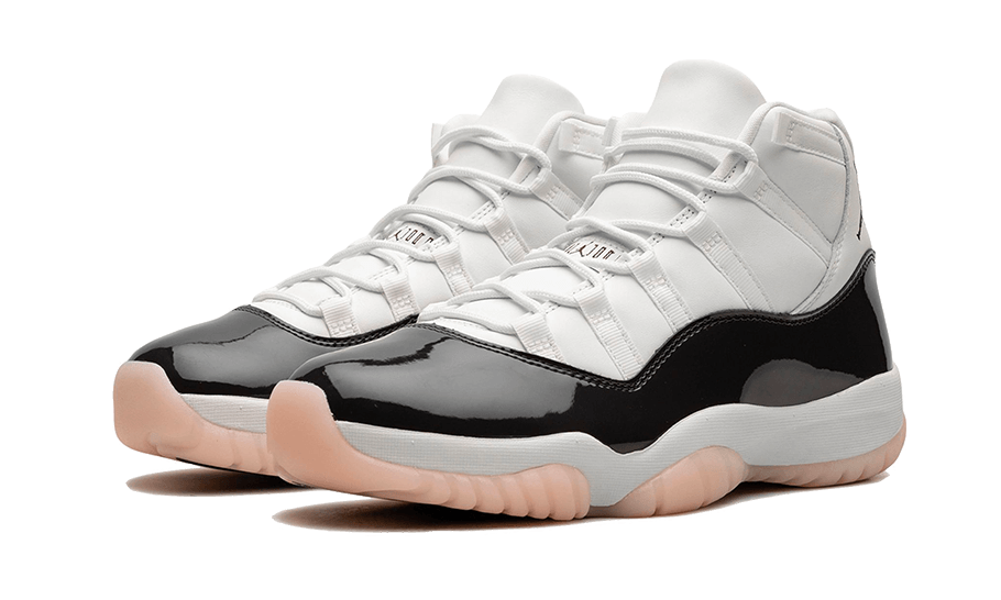 Air Jordan 11 Retro Neapolitan All You Need, photo 2