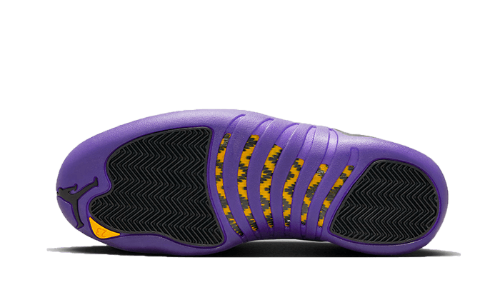 Air Jordan 12 Field Purple All You Need, photo 3