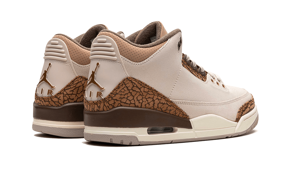 Air Jordan 3 Palomino All You Need, photo 3