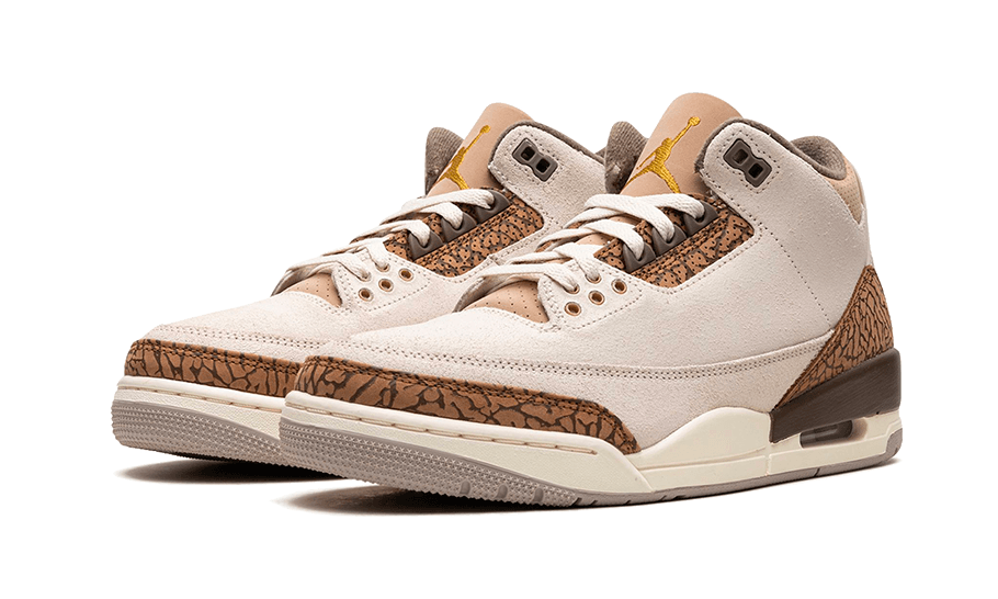 Air Jordan 3 Palomino All You Need, photo 2