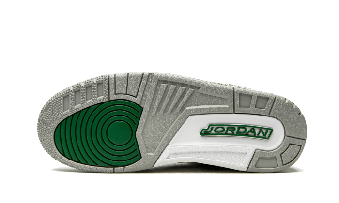 Air Jordan 3 Pine Green All You Need, photo 4
