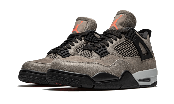 Air Jordan 4 Taupe Haze All You Need, photo 2