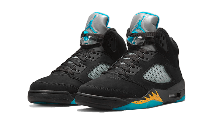 Air Jordan 5 Aqua All You Need, photo 2