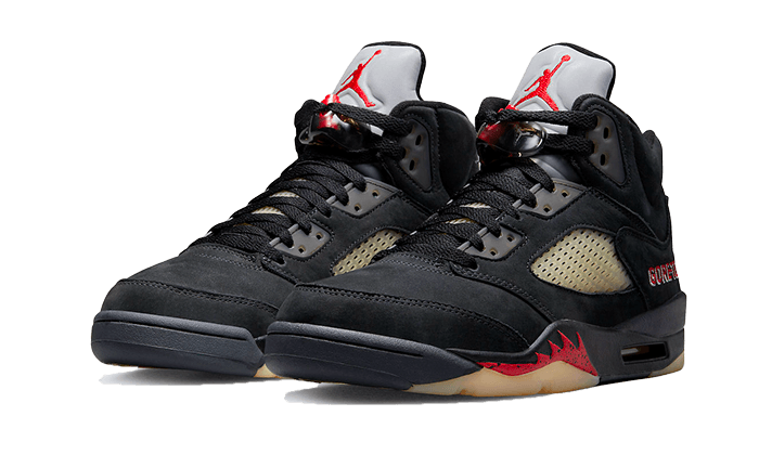 Air Jordan 5 Retro Gore-Tex Off-Noir All You Need, photo 2