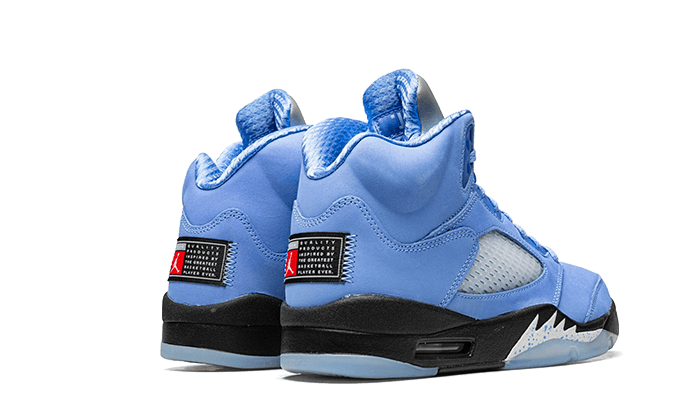 Air Jordan 5 UNC All You Need, photo 3