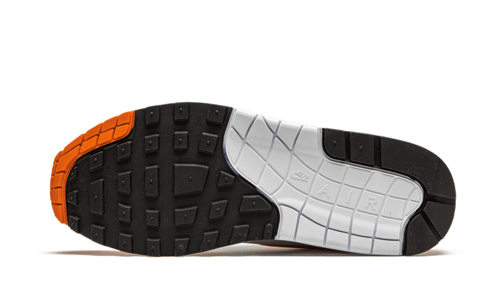 Air Max 1 Anniversary Orange (2020) All You Need, photo 4