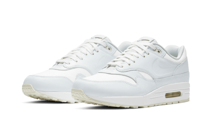 Air Max 1 Asparagus All You Need, photo 2
