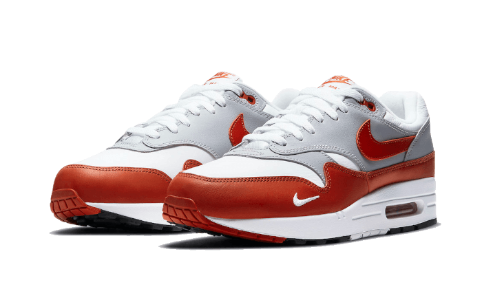 Air Max 1 Martian Sunrise All You Need, photo 2