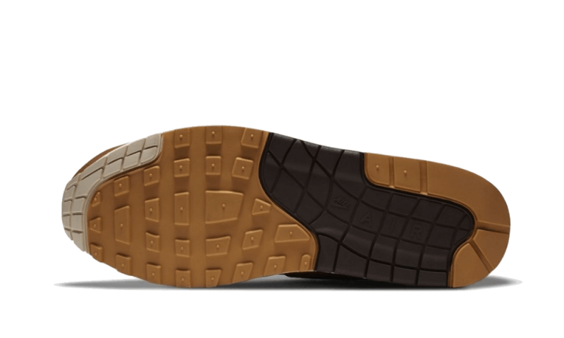 Air Max 1 SNKRS Day Brown All You Need, photo 3