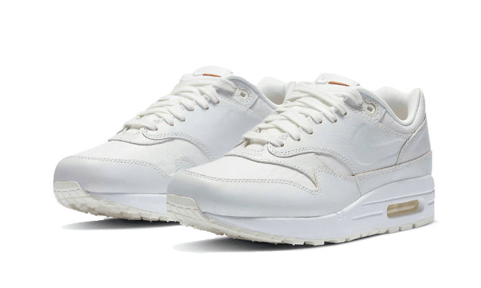 Air Max 1 Tawny All You Need, photo 3