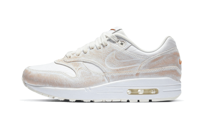 Air Max 1 Tawny All You Need, photo 2