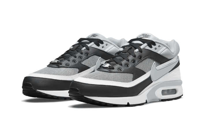 Air Max BW Lyon All You Need, photo 2