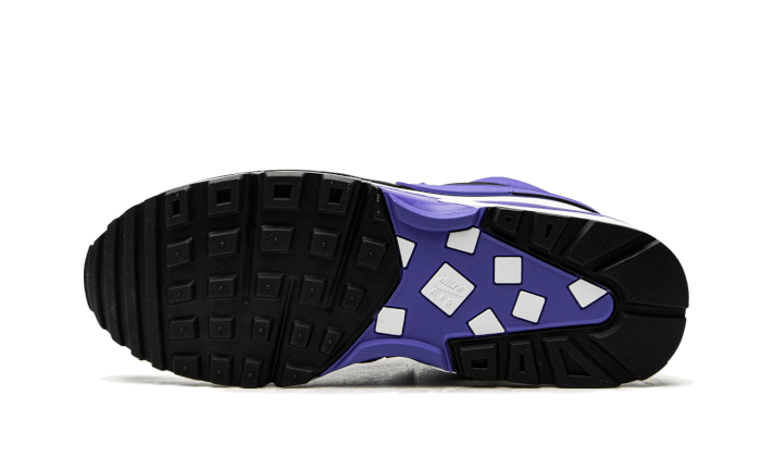 Air Max BW Persian Violet All You Need, photo 4