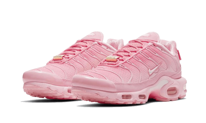 Air Max Plus Atlanta All You Need, photo 2